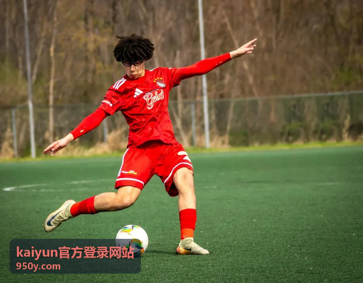 kaiyun官方登录网站账号安全设置示意