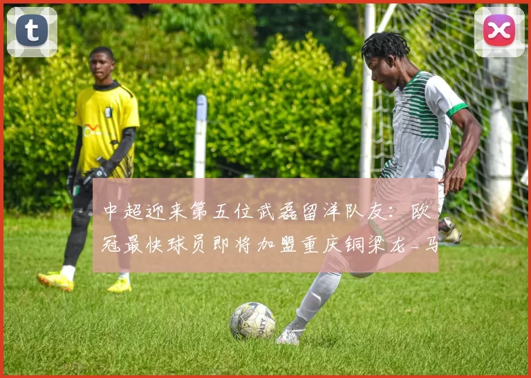 2-1神奇夜!莱切最后一脚踹碎8场不胜魔咒,乌迪内斯三连胜梦碎客场_比赛_球员_意甲