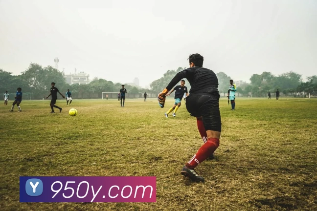 星空体育入口APP 封面图